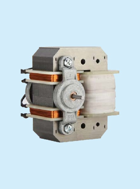 TWO-WAY ROTATION MOTOR